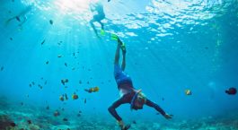 Snorkeling in Maldives