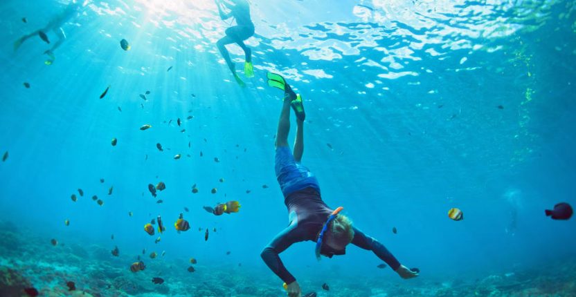 Snorkeling in Maldives