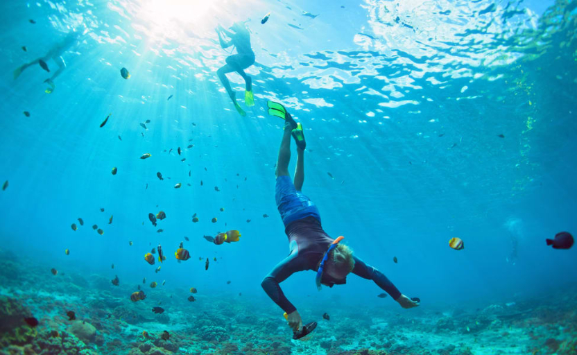 Everything You Must Know About Snorkeling in Maldives