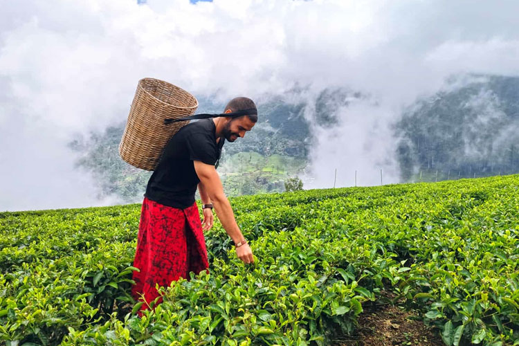 Nuwara-Eliya