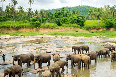 Grand Tour of Sri Lanka