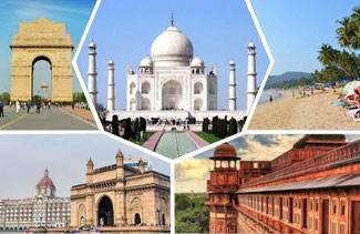 Best Time to Visit India