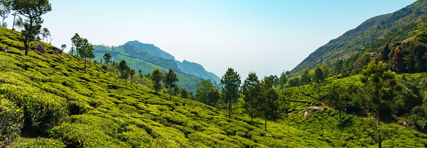 https://www.tourism-of-india.com/pictures/besttimetovisit/best-time-to-visit-coonoor-slider-18