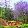 Coimbatore