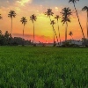 Patna