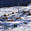 Auli