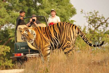 Bandhavgarh