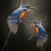 Bharatpur