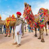 Bikaner