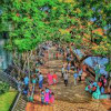 Cherai Beach