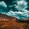 Kargil