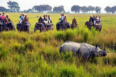 Kaziranga