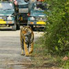 Sawai Madhopur