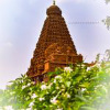 Tanjore