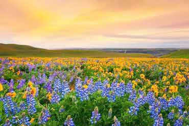 Uttarakhand Tour Packages