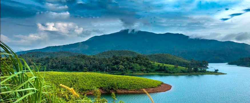 wayanad one day tour packages from calicut