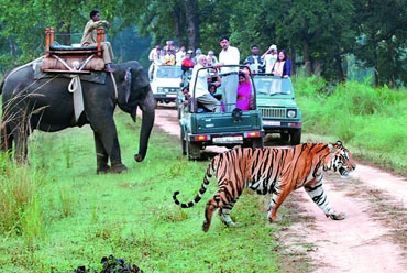 Nainital Kausani Corbett Tour