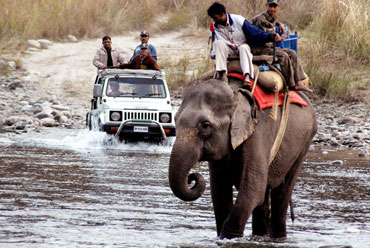Jim Corbett 3 days Package