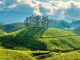 Coorg, Karnataka