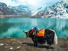 Gangtok