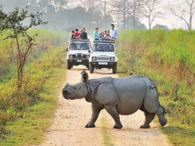 Kaziranga National Park, Assam