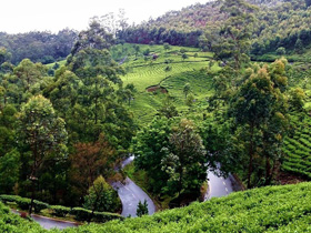 Munnar