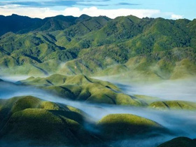 Dzukou Valley, Nagaland