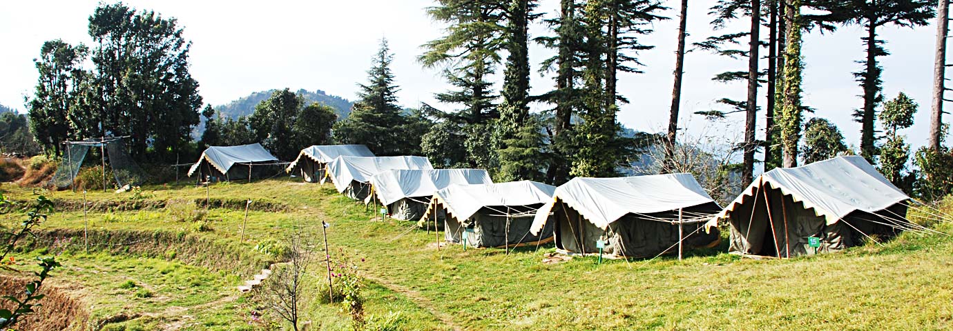 Camping in Mussoorie