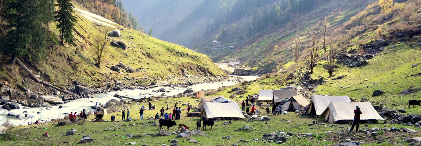 Camping in Solang Valley