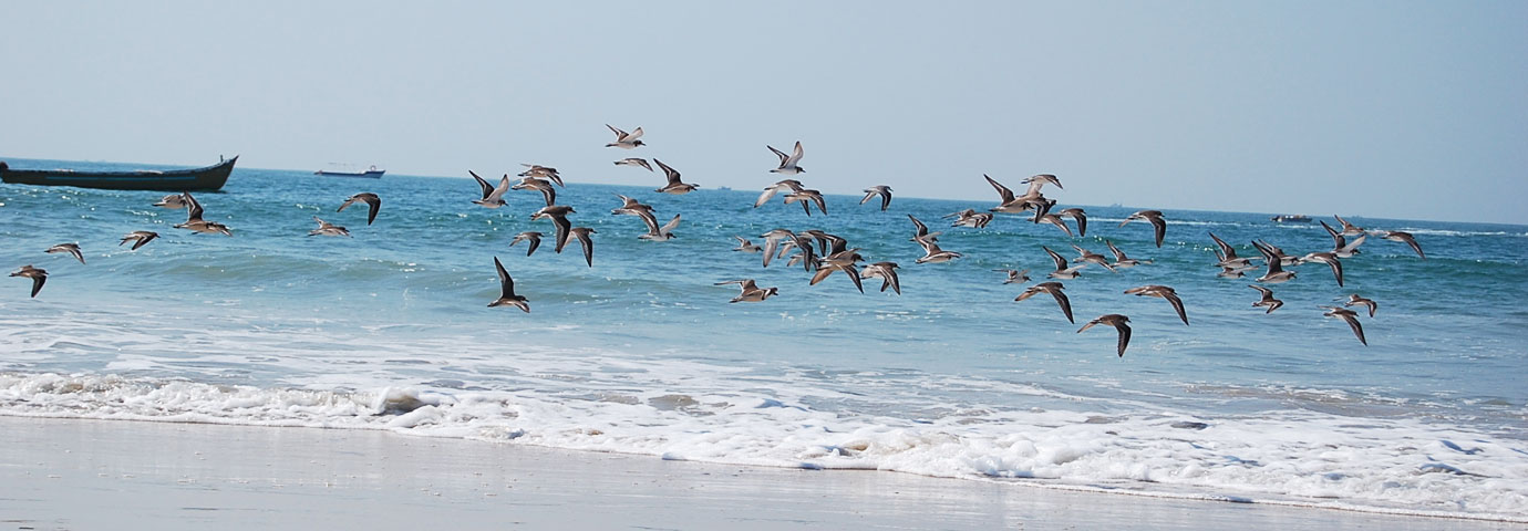 Varca & Cavelossim Beaches