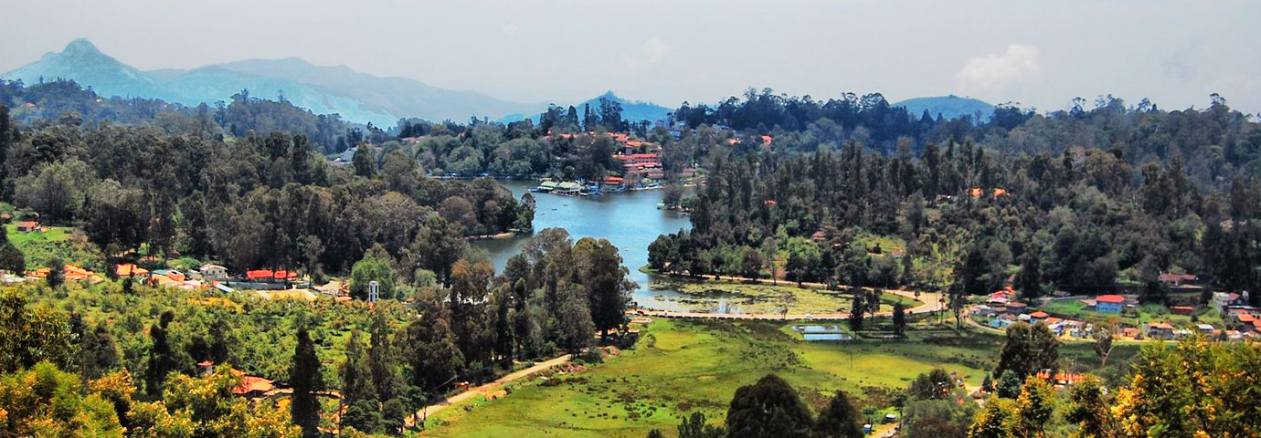 kodaikanal tourism official website