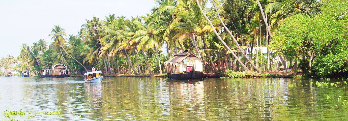 kuttanad tour package