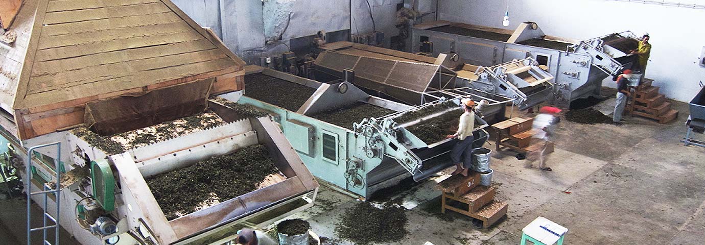 Palampur Cooperative Tea Factory