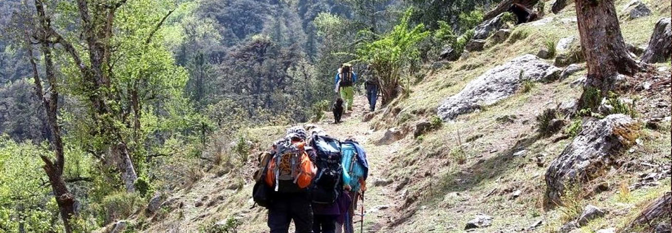 Pangarchulla Peak Trek