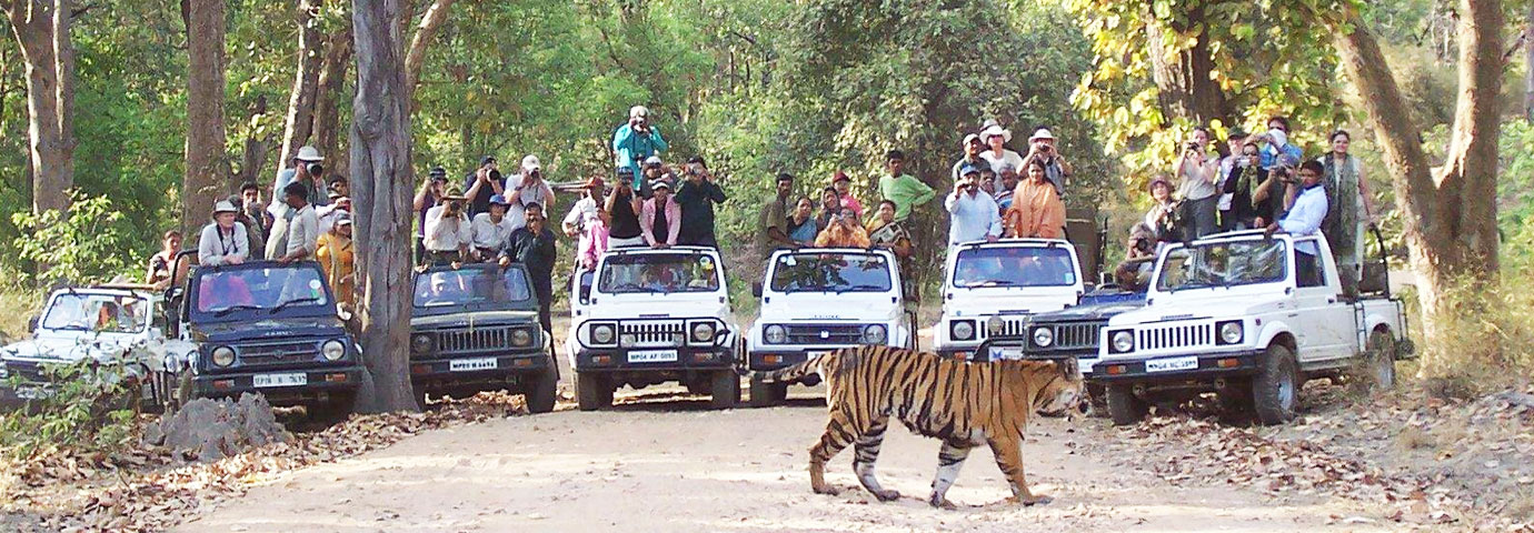 Panna National Park