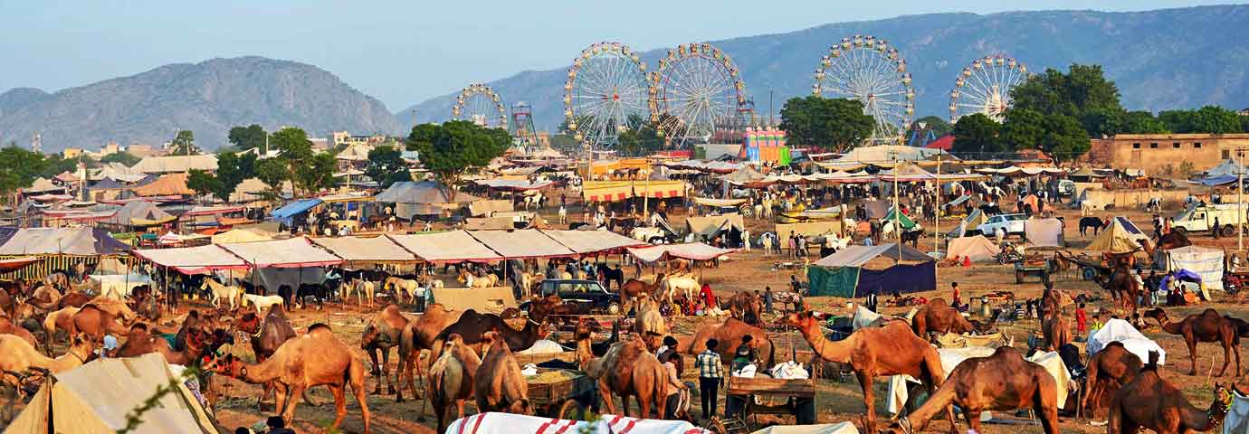 Pushkar Camel Fair