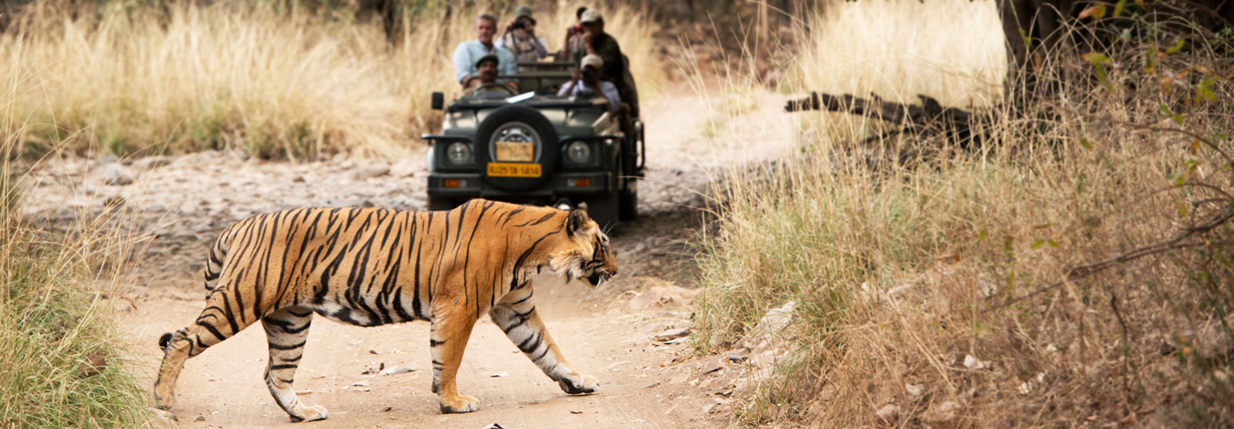 Ranthambore Tiger Reserve