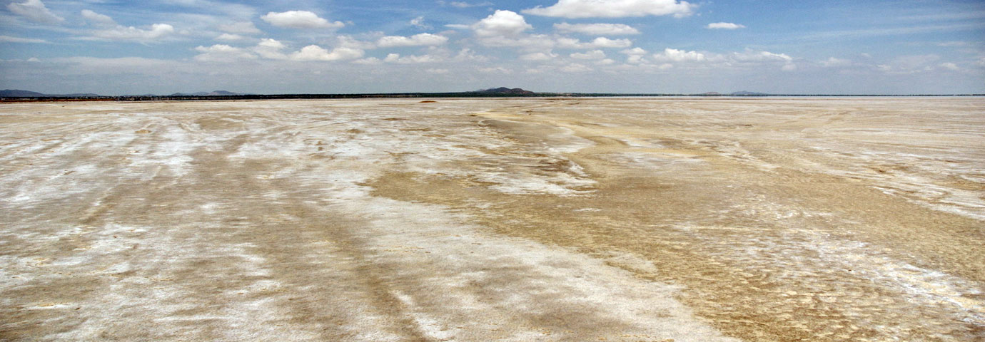 Sambhar Lake