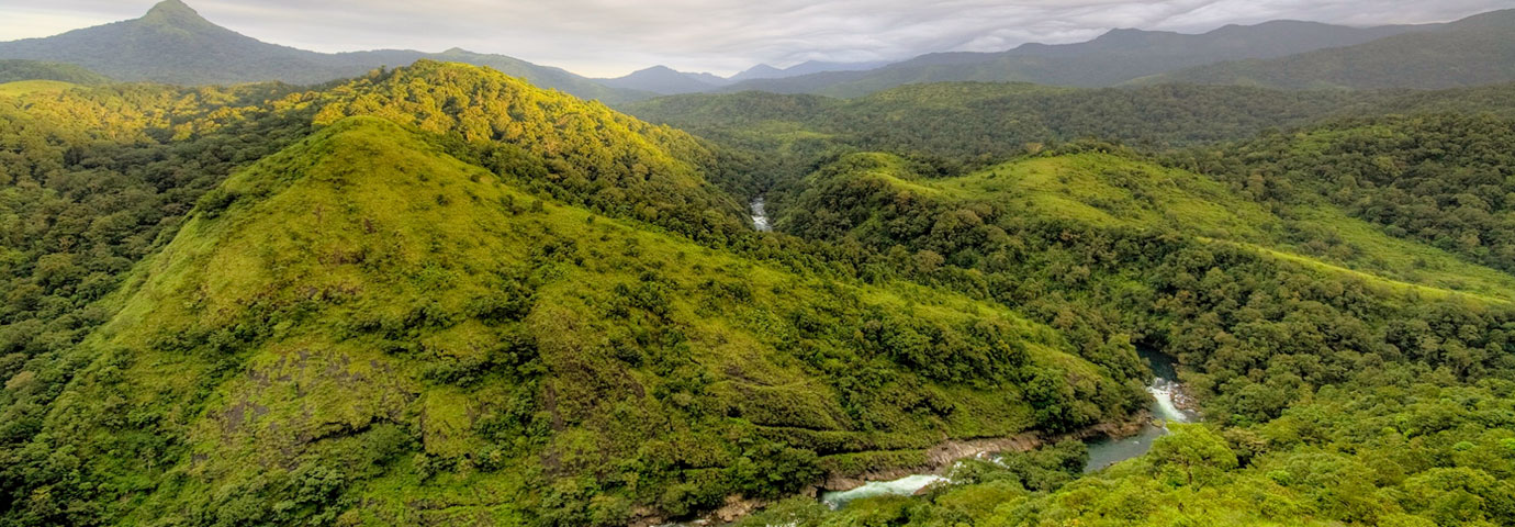 Silent valley national park