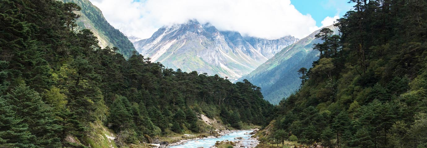 Skiing in Yumthang Valley