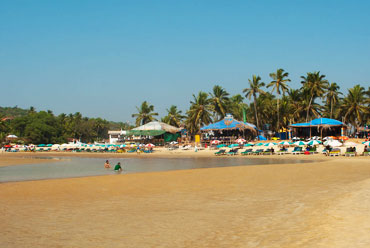 Baga Beach Market