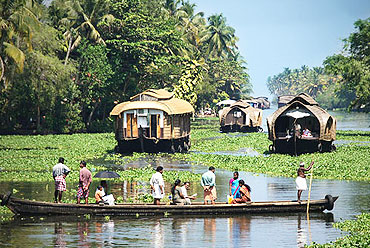 Kozhikode (Calicut) backwaters
