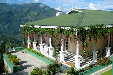 Glenburn Tea Estate, Darjeeling