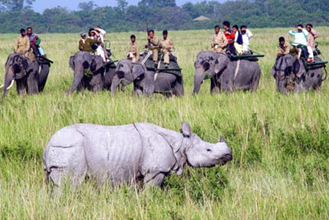 Kaziranga National Park