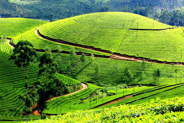 Munnar