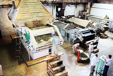 Palampur Cooperative Tea Factory