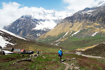 Pindari