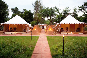 Sher Bagh, Ranthambore