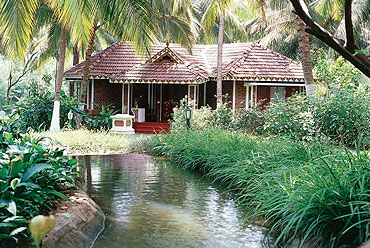 The Ayurveda Healing Village