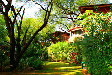 Tree House Resort, Jaipur